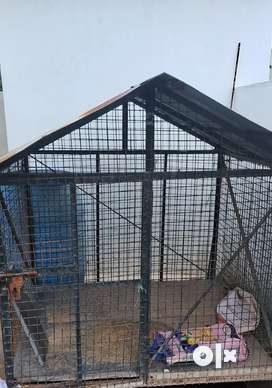Dog house for sale olx deals