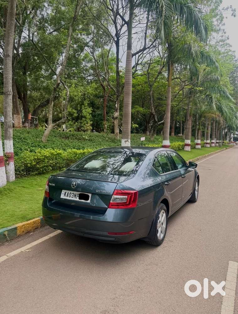 Skoda Octavia 2019 Petrol 47500 Km Driven