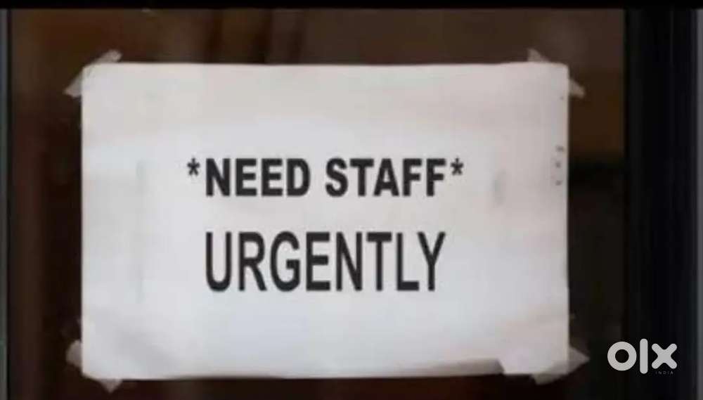 Working in shop and nearby dilivery