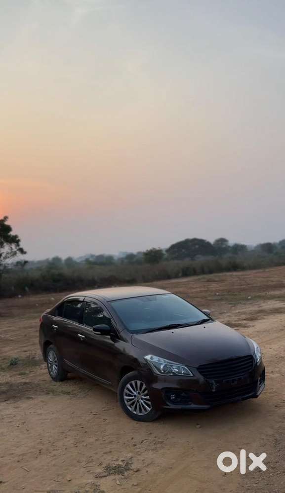 Maruti Suzuki Diesel 2016