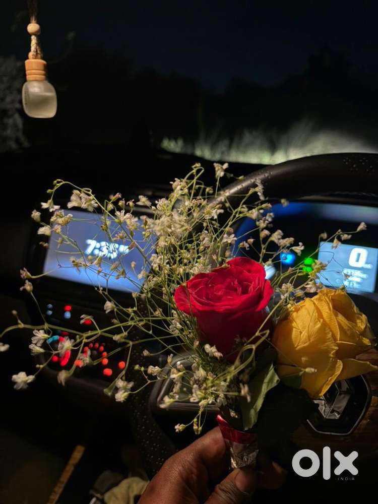 Renault Kwid 2023 Petrol Well Maintained