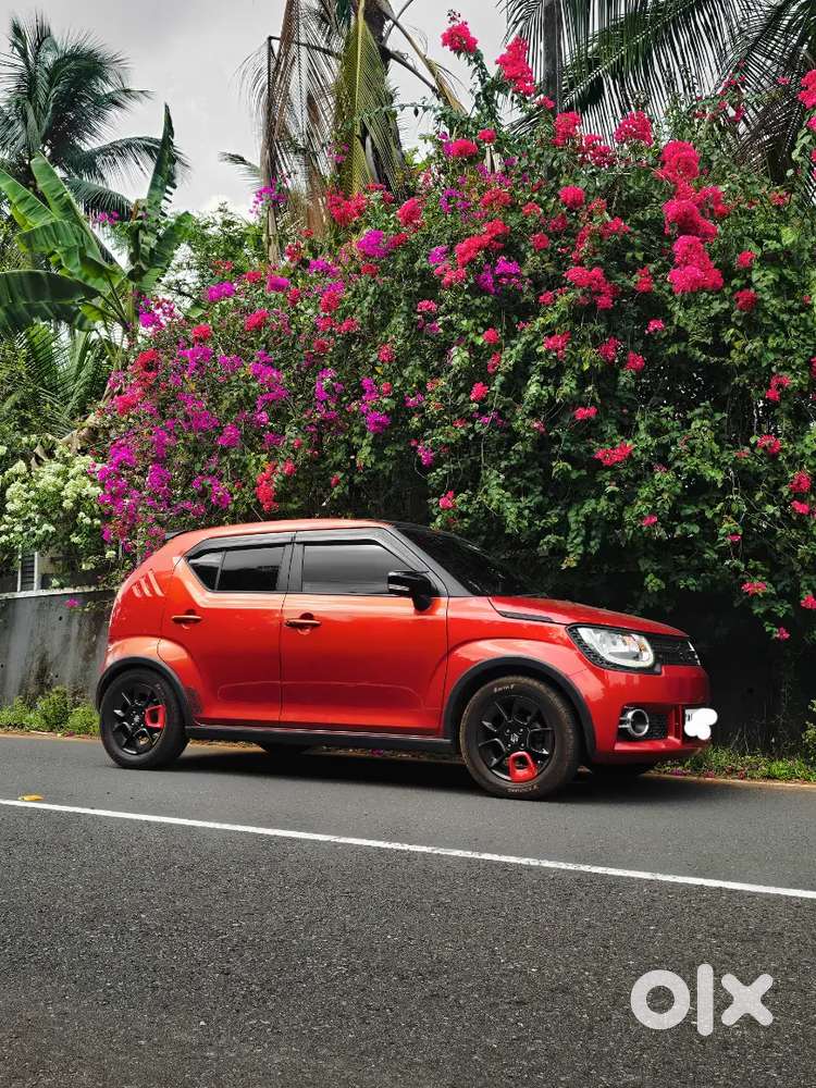 Maruti Suzuki Ignis 2018 Petrol Well Maintained