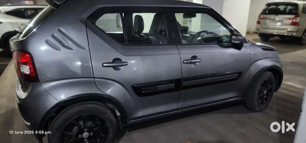 Ignis Amt 2018