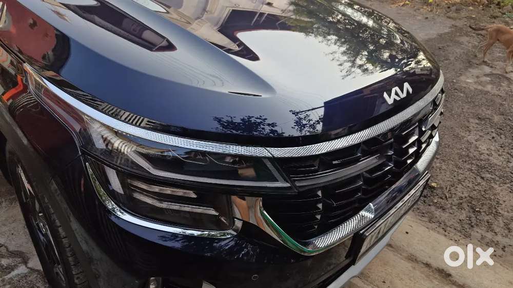 Kia Seltos 2025 Petrol Well Maintained