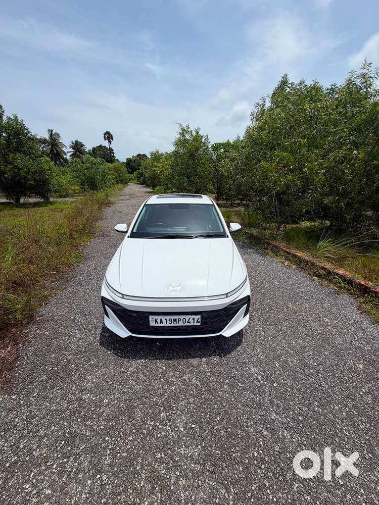 Fresh Verna For Sale