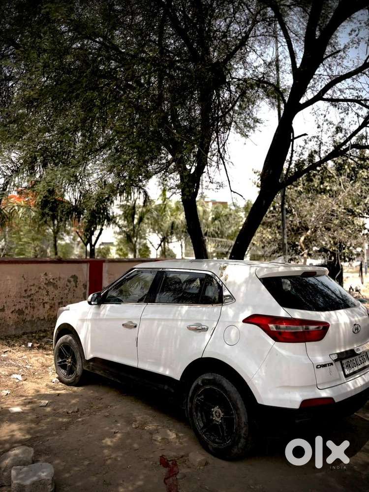 Gaddi Is Untouch No Accidental