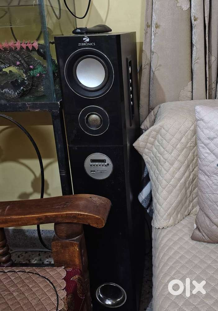 Zebronic tower speaker