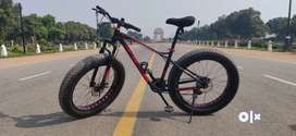 Skyrider best sale fat bike