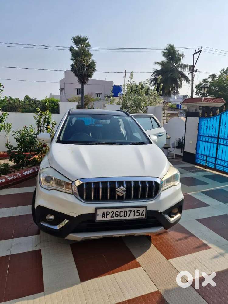 Well Maintained Veterinary Doctor Car