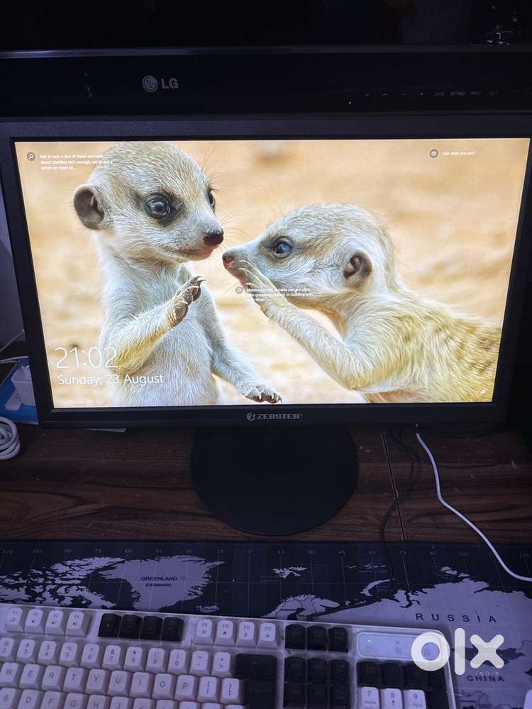 22-Inch Full HD Monitor + Antec Cabinet Combo