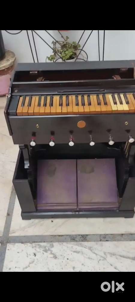 OLD LEG HARMONIUM EATIV PERIS MALE MALE