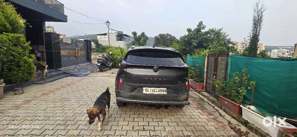 Tata Nexon 2025 Petrol Well Maintained