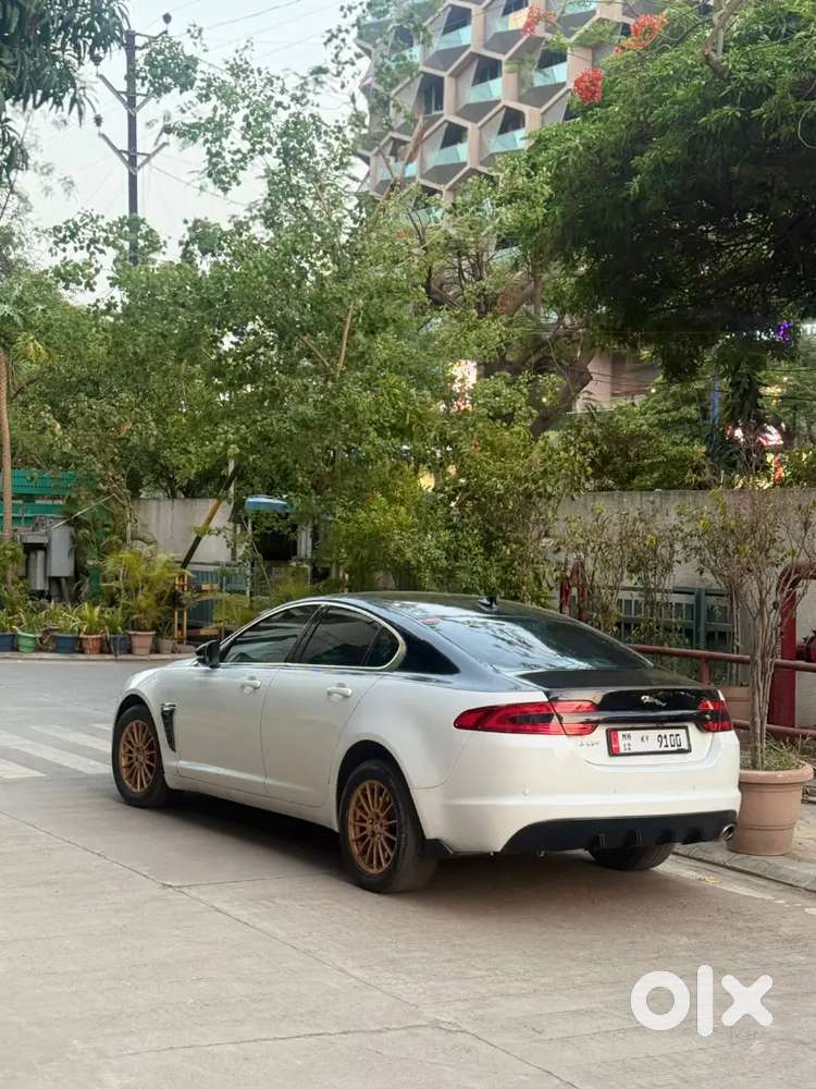 Jaguar 2014