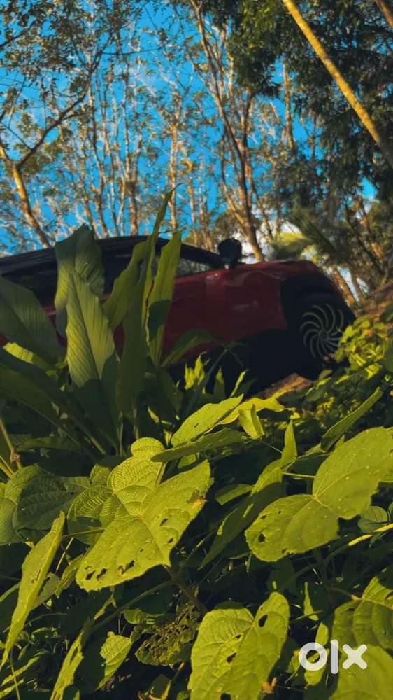 Maruti Suzuki Brezza 2023 Petrol 30000 Km Driven