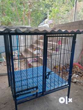 Olx sales dog crate