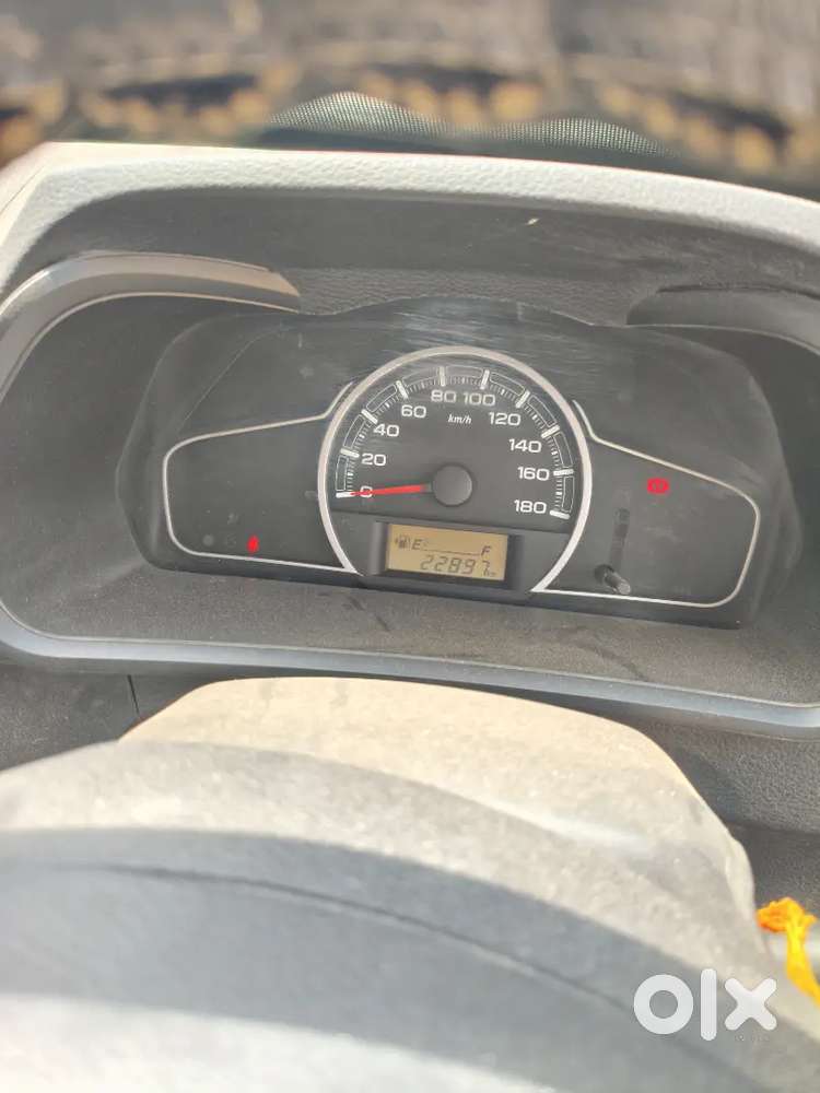 Alto 800 Model 2022