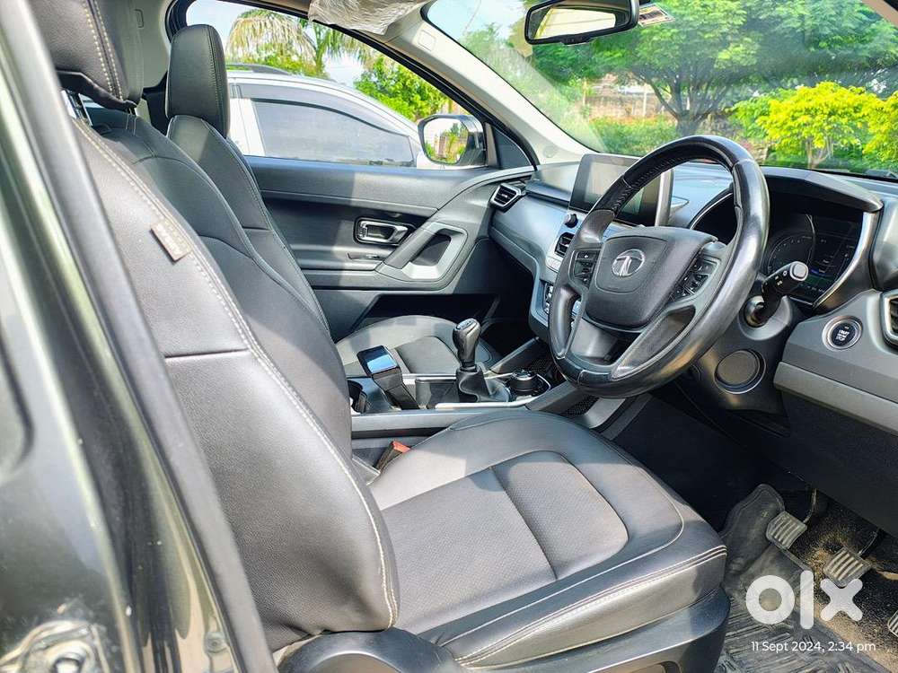 Less Driven Top Model Harrier Camouflage Edition