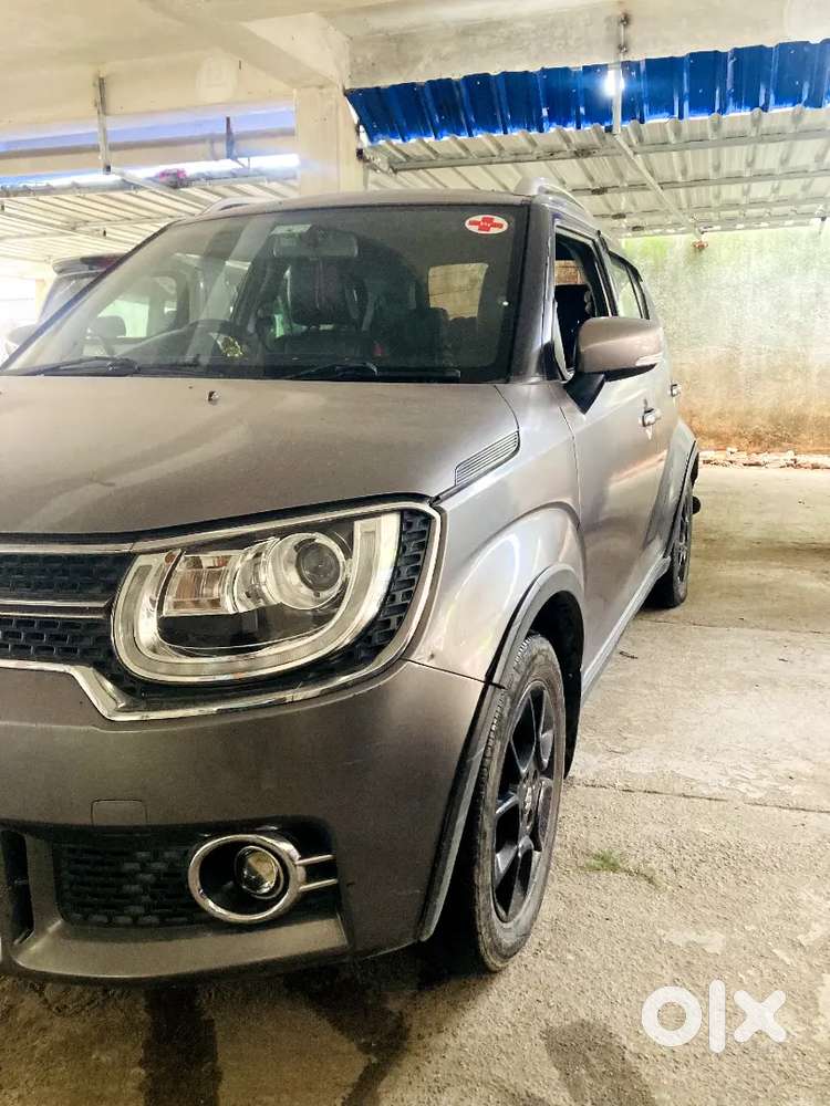 Maruti Suzuki Ignis Alpha 2019