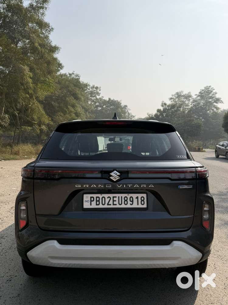 Maruti Suzuki Grand Vitara 1.5 Delta Smart Hybrid, 2024, Petrol