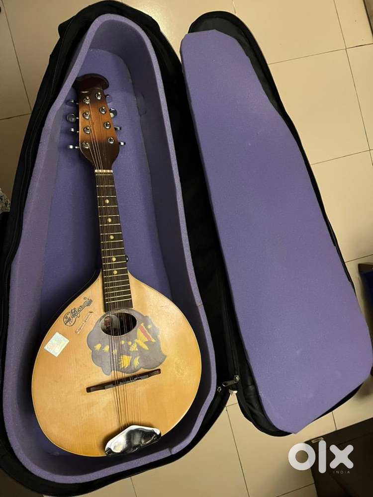 Geordie Mandoliniさん専用 Export quality mandolin (2021) - Musical Instruments in undefined