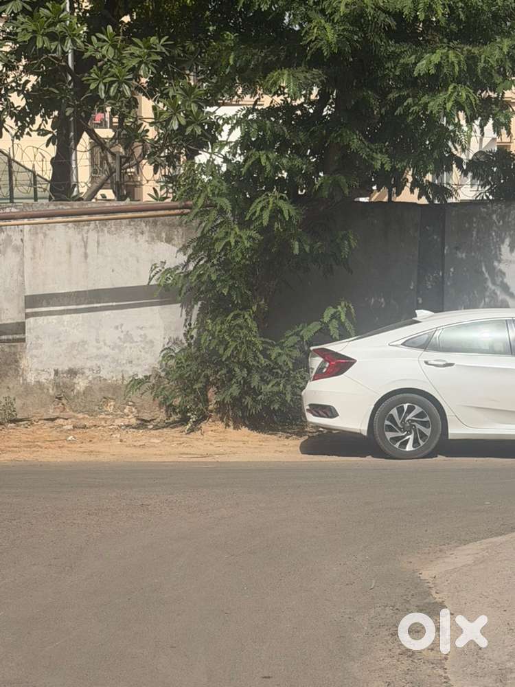Honda Civic Petrol 2019 Model