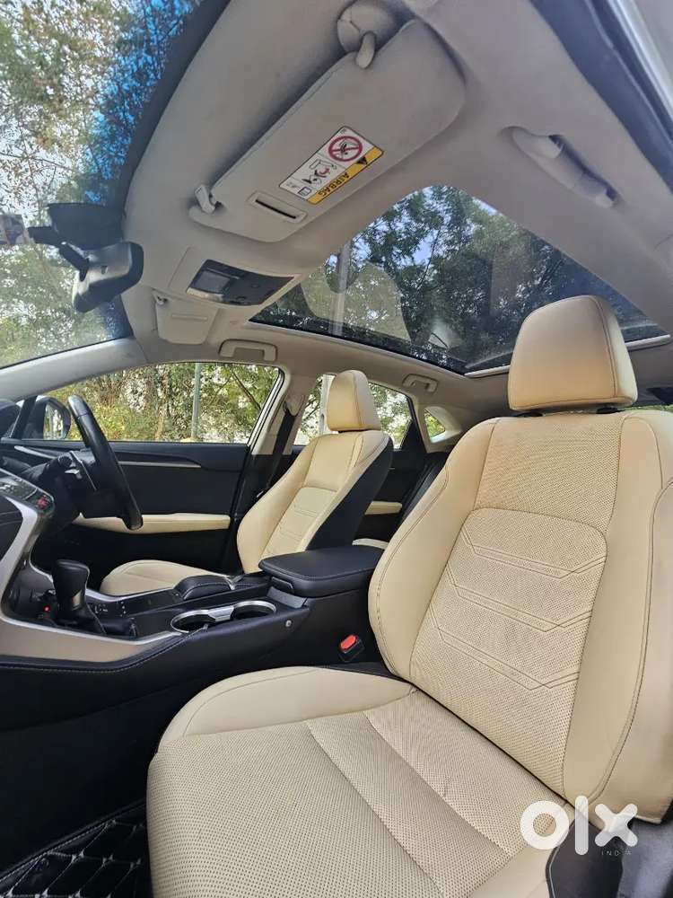 Lexus Nx 2019 Luxury Petrol