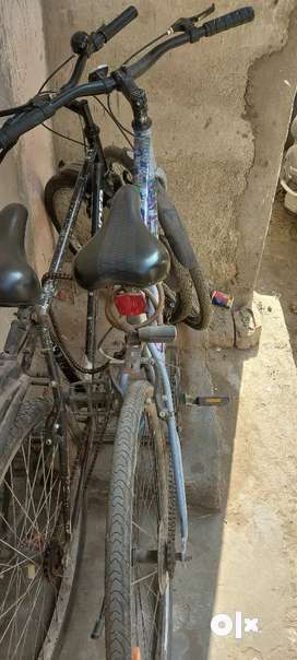 Firefox Cycle Buy Sell Second Hand Cycles in Panchkula Used Cycles in Panchkula OLX