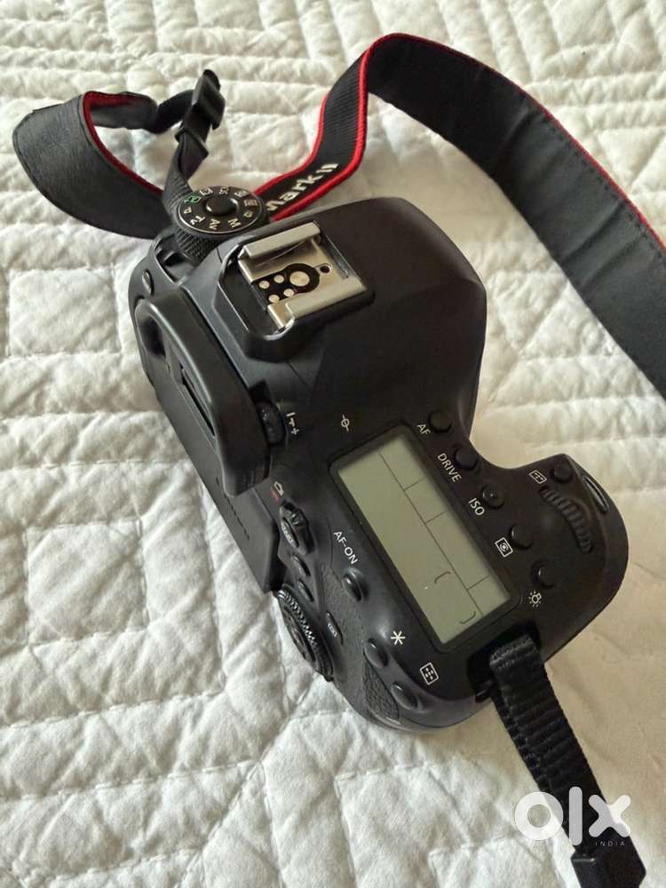 Canon 6D Mark II body
