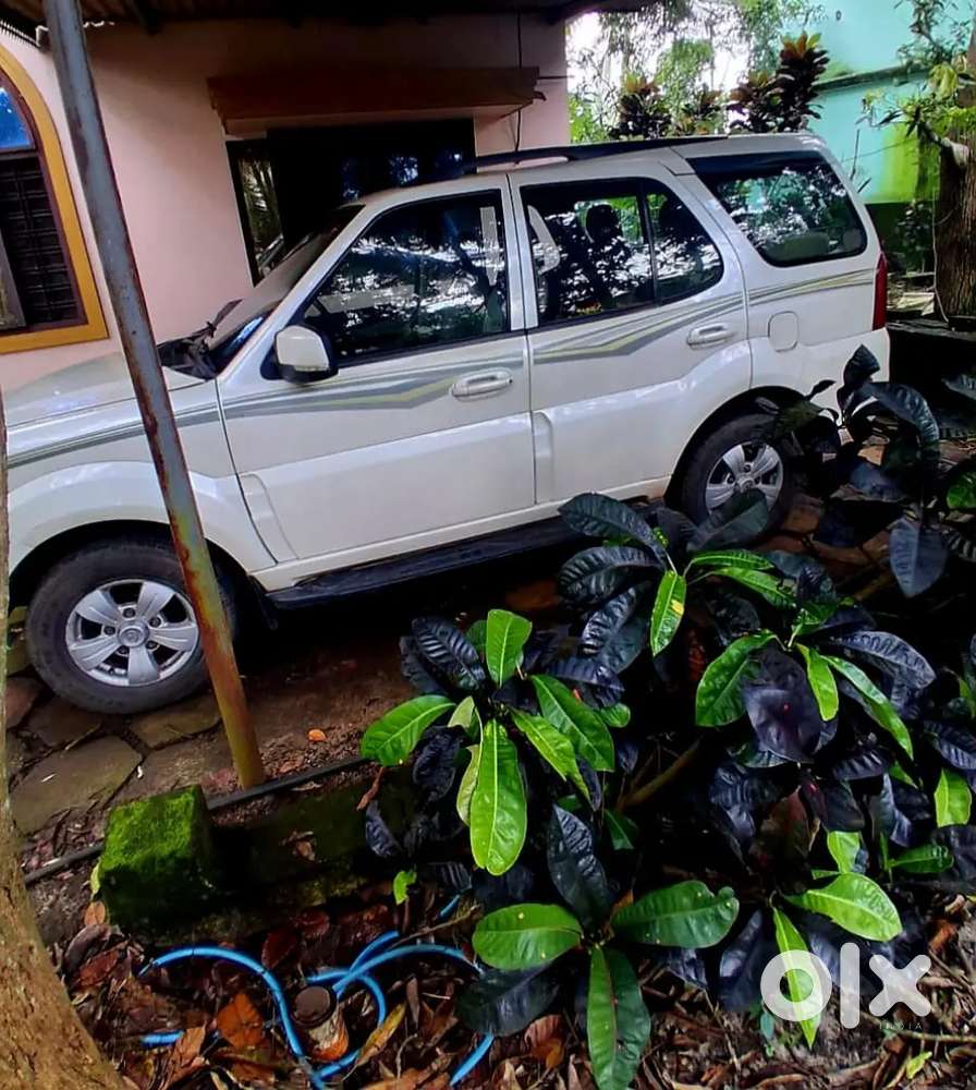 Tata Safari Storme 2013 Diesel
