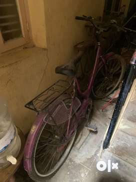 Olx sales ladies cycle