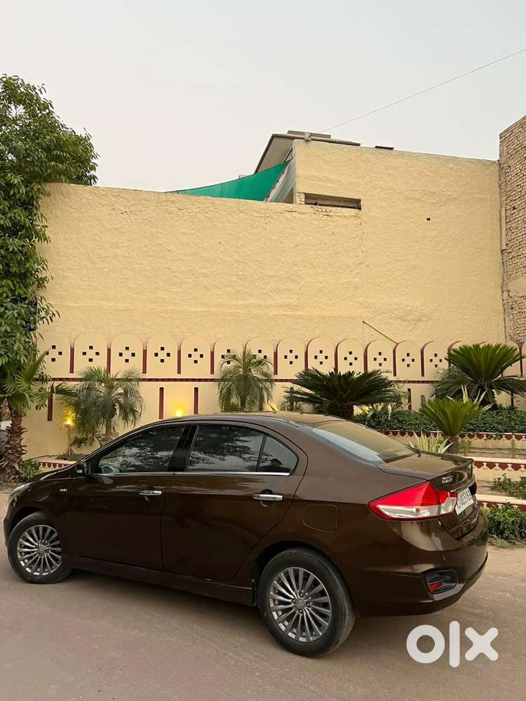 Maruti Ciaz Diesel Manual 2016