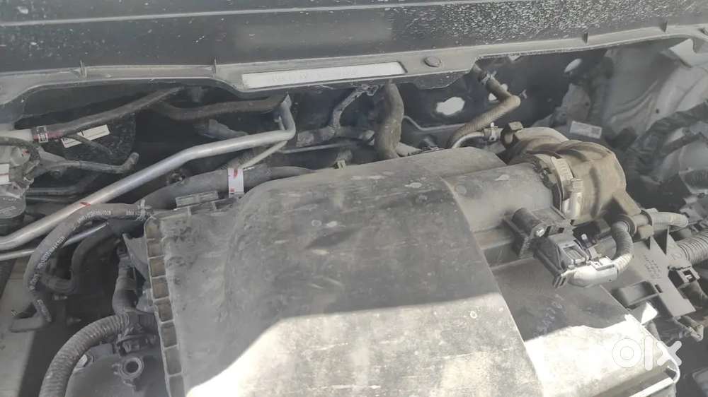 Maruti Suzuki Grand Vitara 2025 Petrol Well Maintained
All Paper Ok