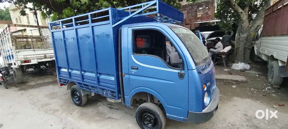 Tata Gold +  Diesel 2023