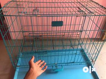 Cat 2024 cage olx