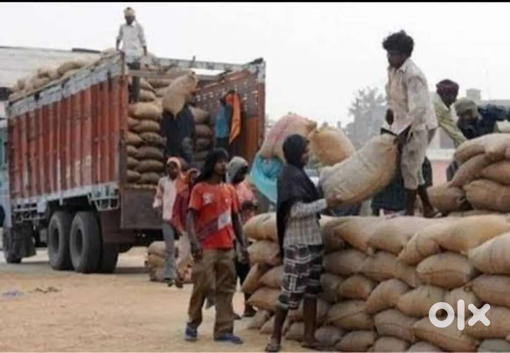LOADING UNLOADING JOB FREE NO CHARGES
