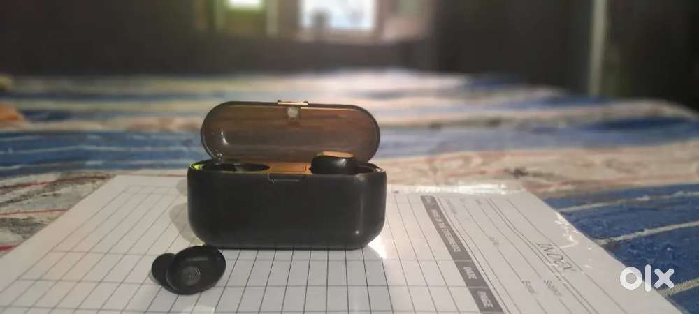 Earphones1