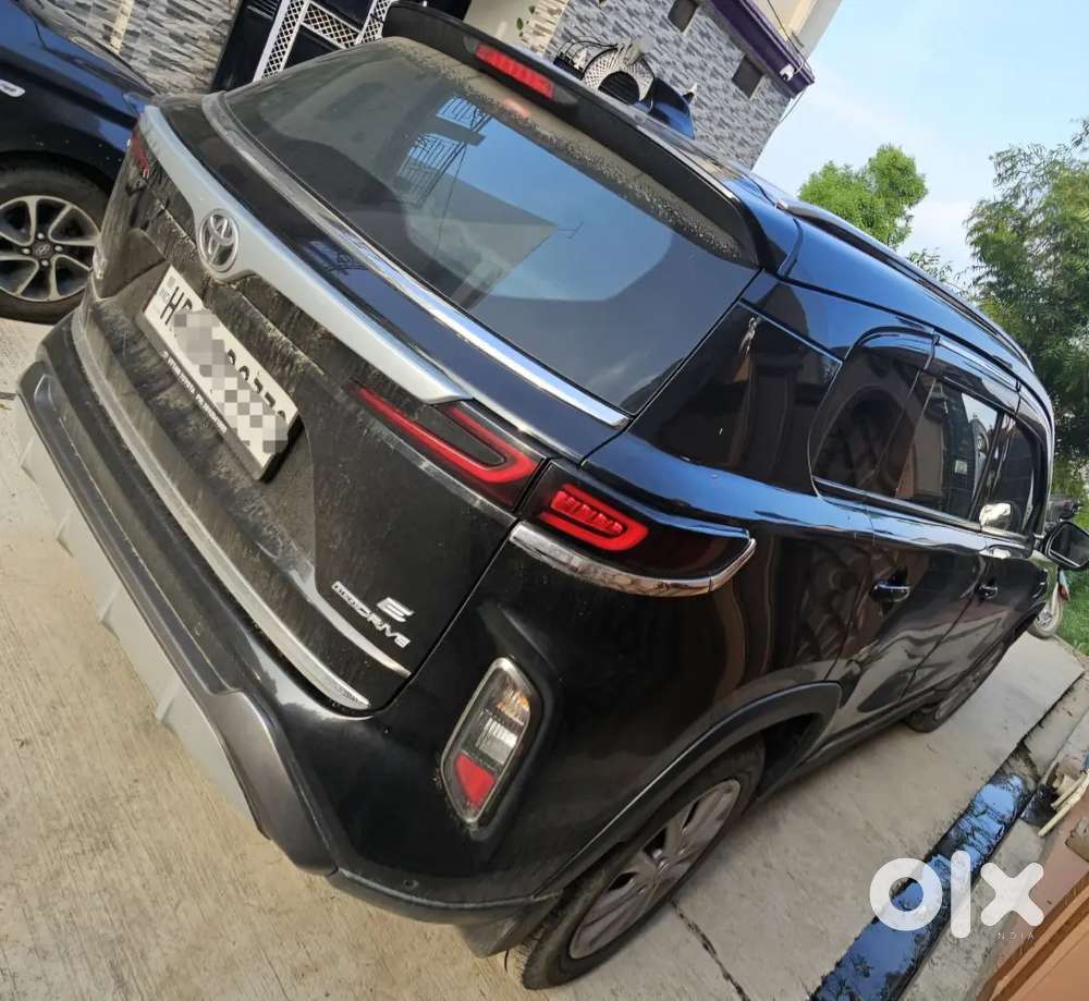 Toyota Urban Cruiser 2023 Drive
