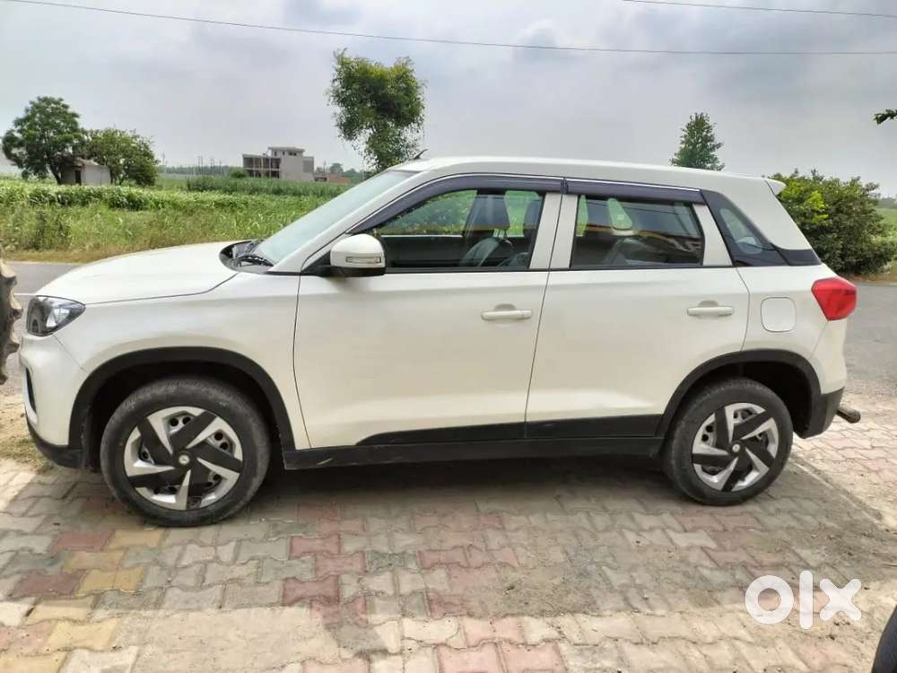 Barezza 2020 Lxi Cng