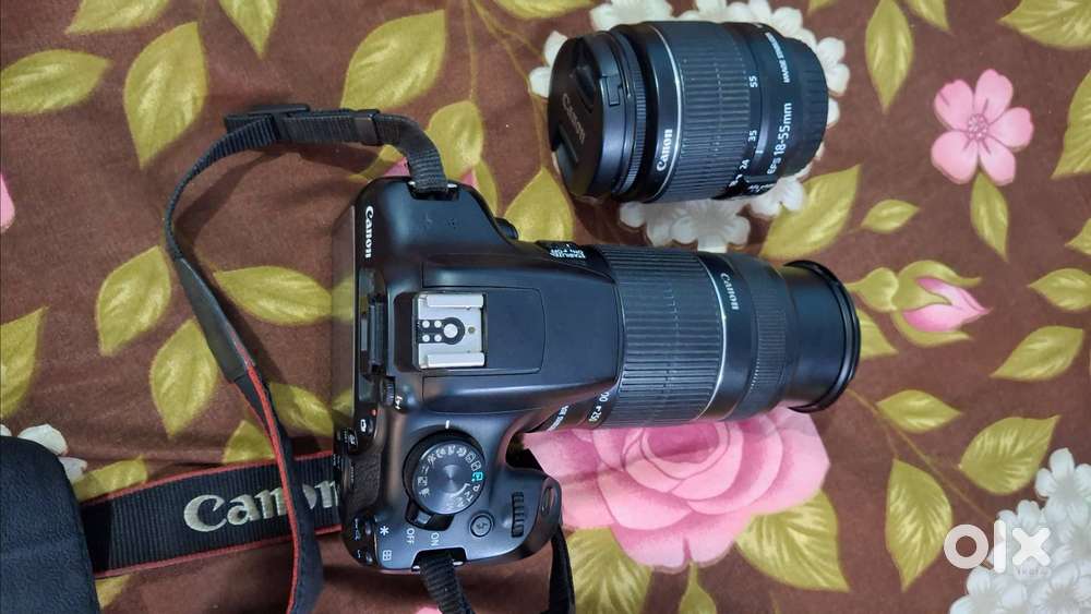 Cannon Camera DSLR