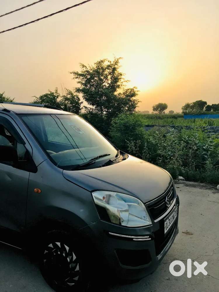 Maruti Suzuki Wagon R 2018 Lxi Green Cng