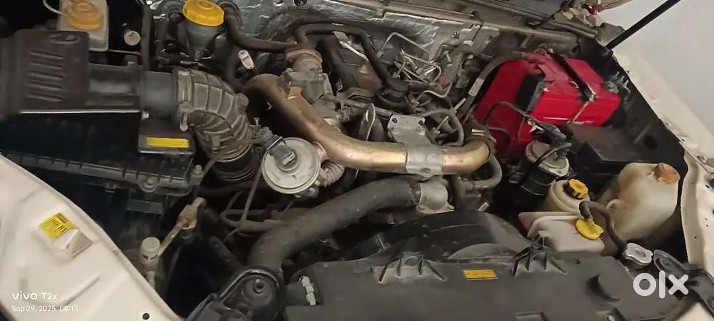 Argent Sell Money Problam