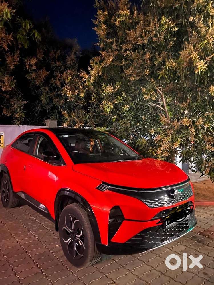 Tata Curvv 2024 Nov Petrol Well Maintained