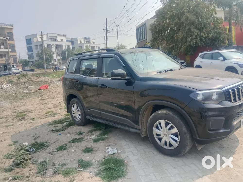 Mahindra Scorpio N 2024 Diesel 53000 Km Driven