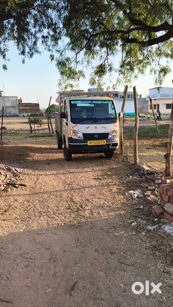Brand Tata Model Ace Gold Petrol Age 2year