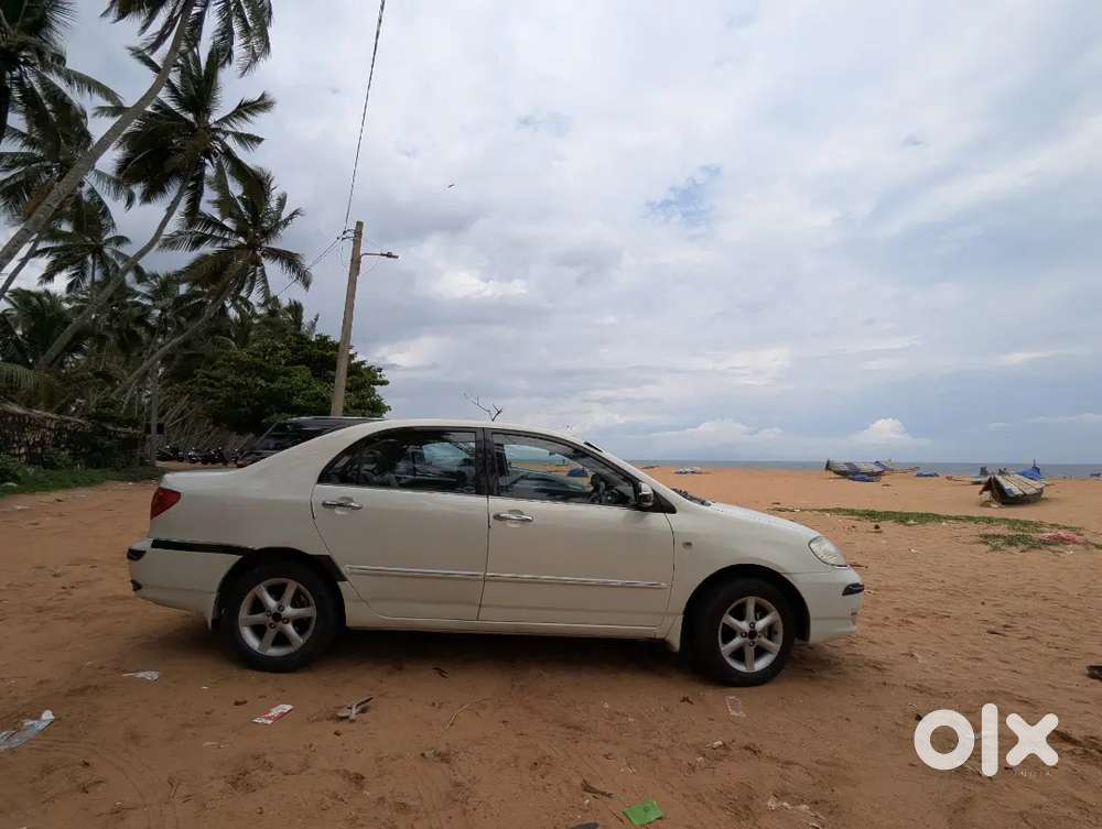 Toyota Corolla Well Maintained