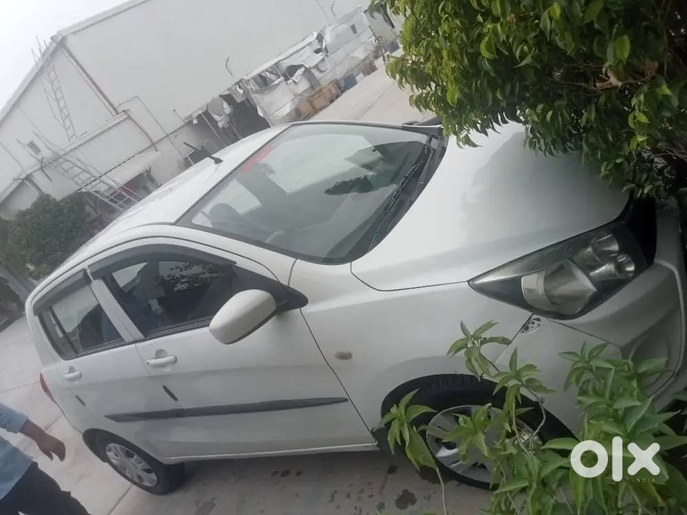 All Good Condition Company Fiting Cng