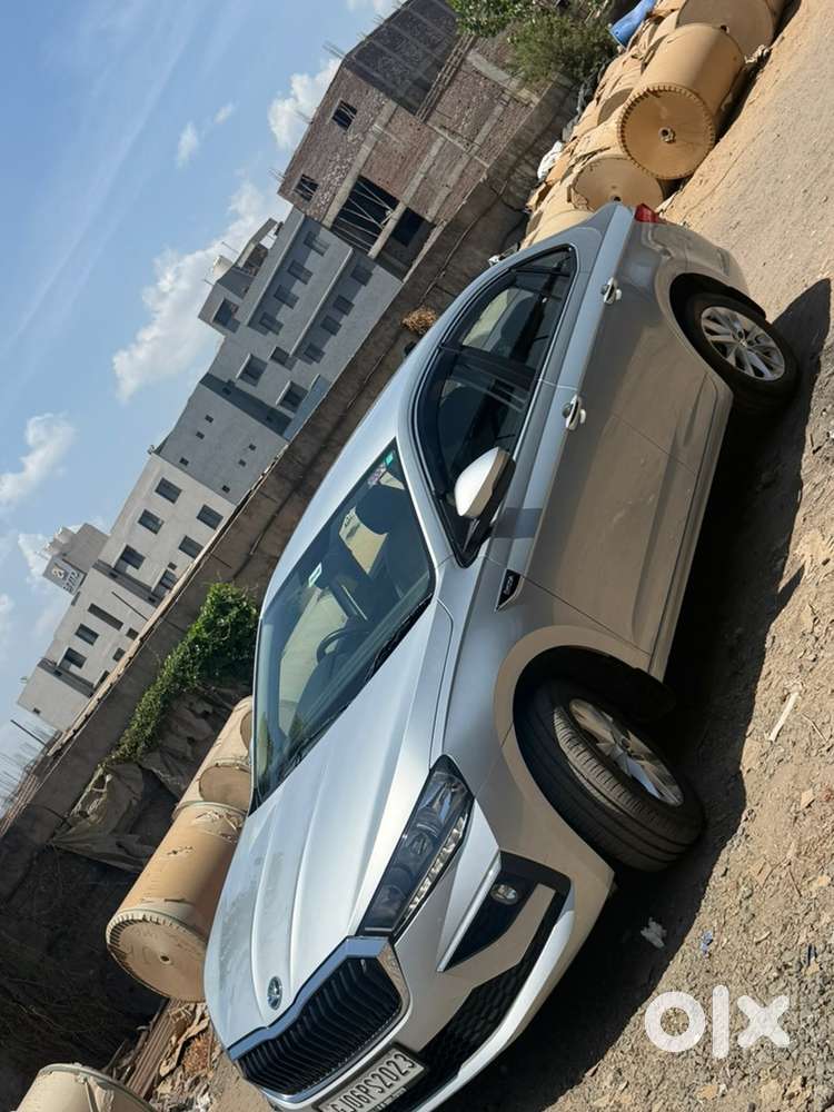 Skoda Car Manual 2024