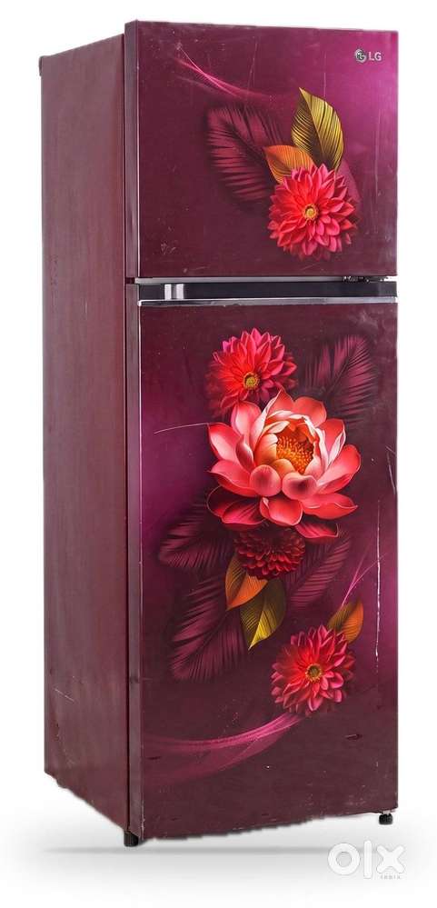 LG Premium Double Door Fridges from Rs 14999 - Warranty - Vikaspuri