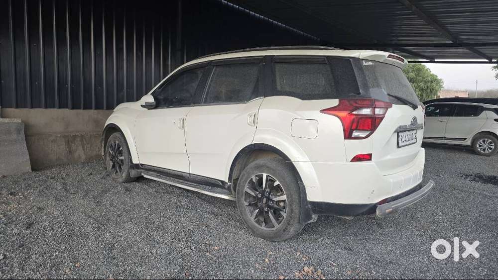 2019 Model