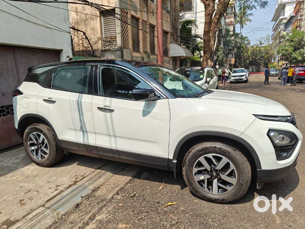 Harrier In Excellent Condition For Sale